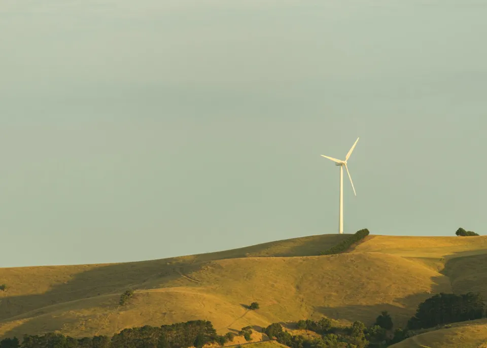 parque eólico