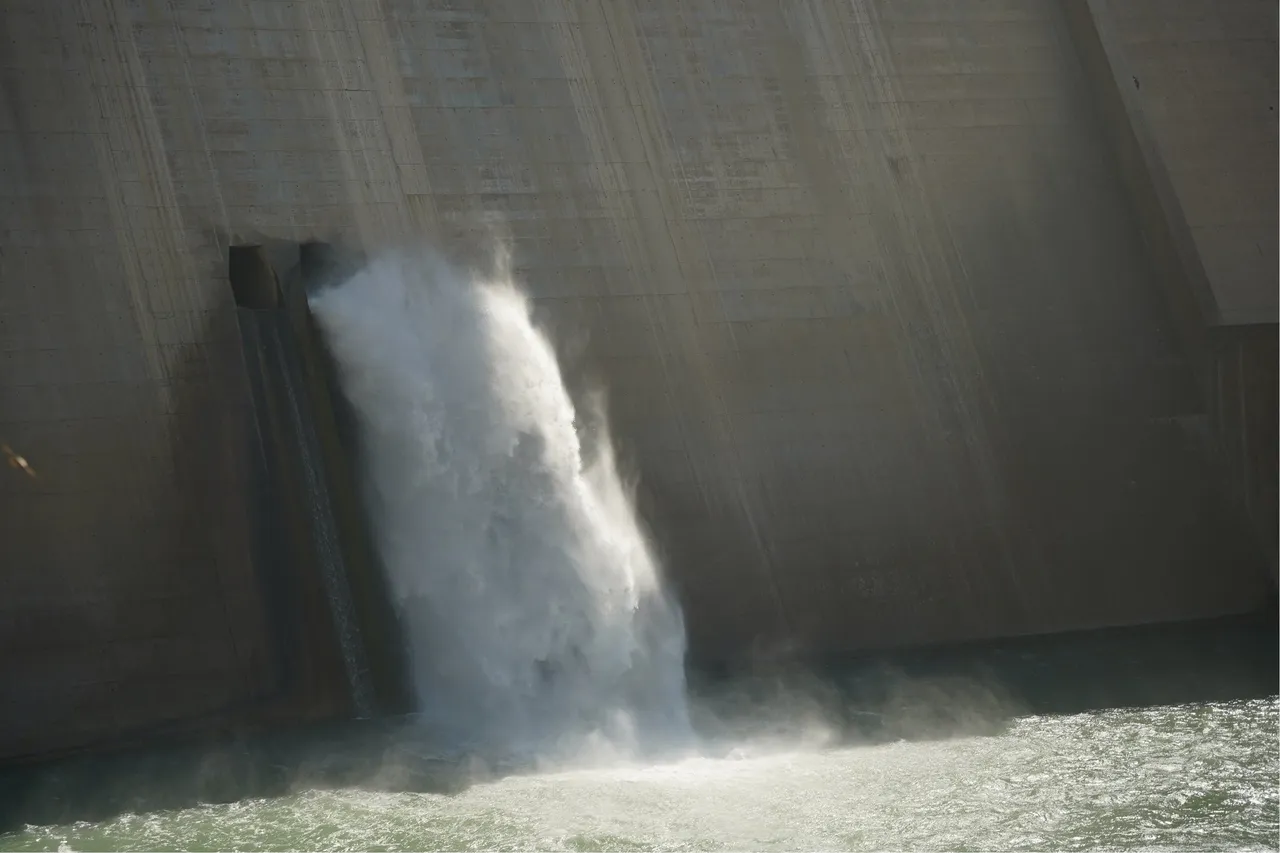 central hidroeléctrica rules